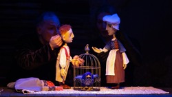 Первый сезон школьных театров откроется в Сахалинском театре кукол