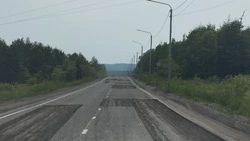 Сахдормониторинг выявил ряд нарушений на проезжих частях Углегорского района 