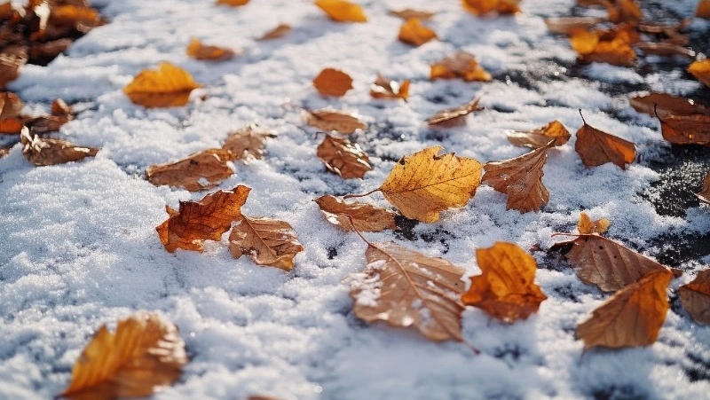 Церковный праздник 16 октября 2024: что нельзя делать в этот день, приметы