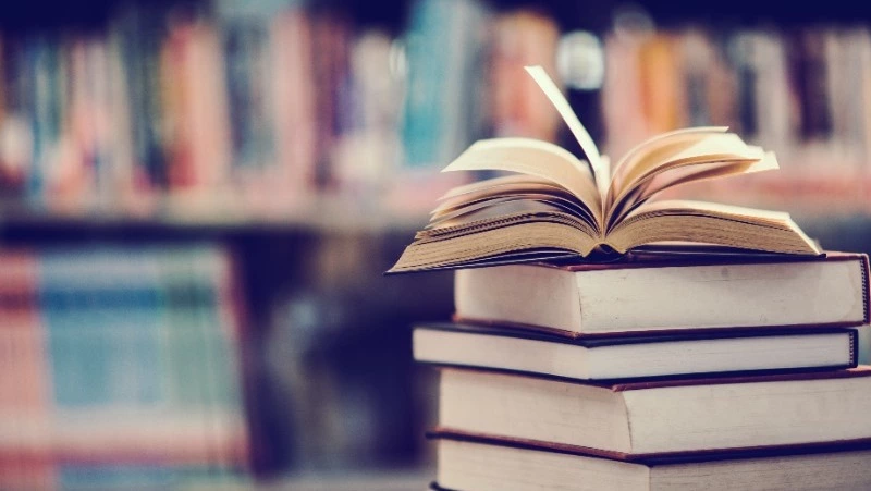 Ярмарку-фестиваль городской и книжной культуры проведут во Владивостоке 6-8 октября