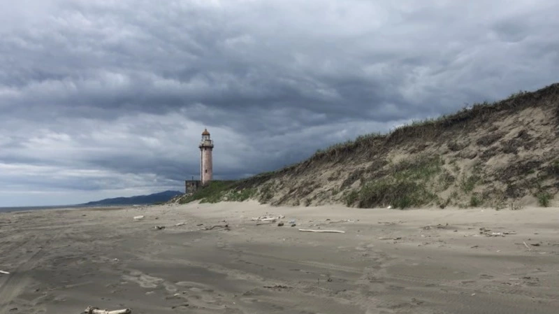 На сахалинском мысе Слепиковского и Костромском кедровнике установили охранные зоны