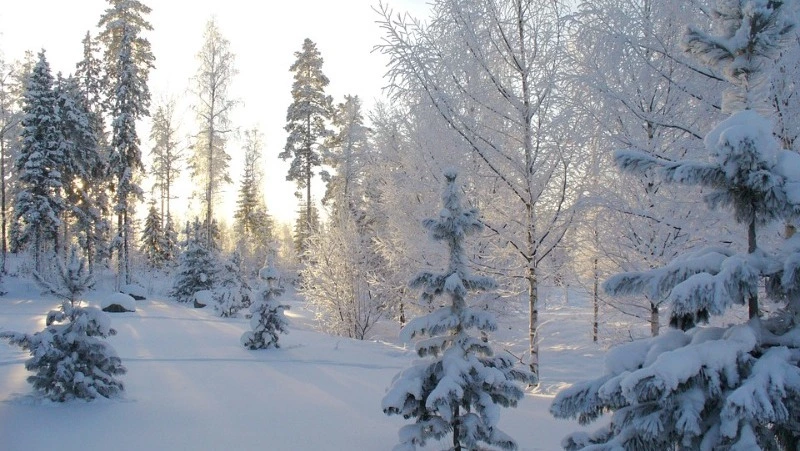 Вильфанд рассказал о 50-градусных морозах на Дальнем Востоке