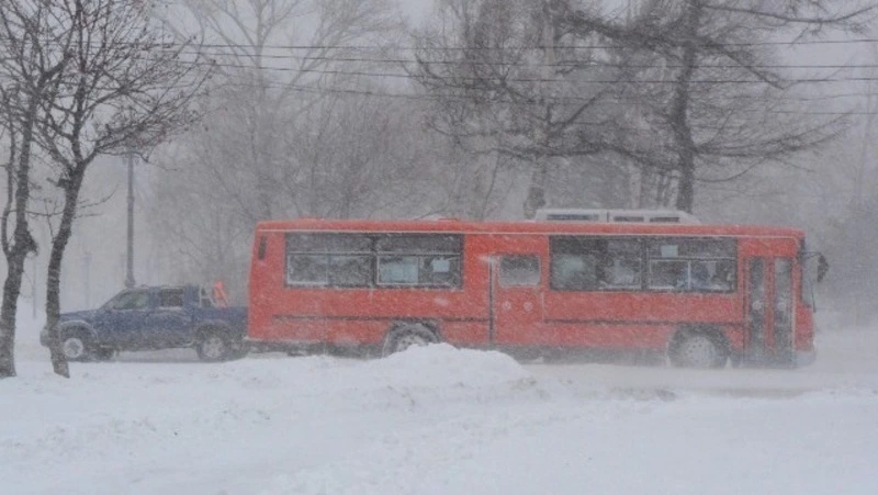 Из-за циклона на Южных Курилах приостановили движение четырех автобусных маршрутов