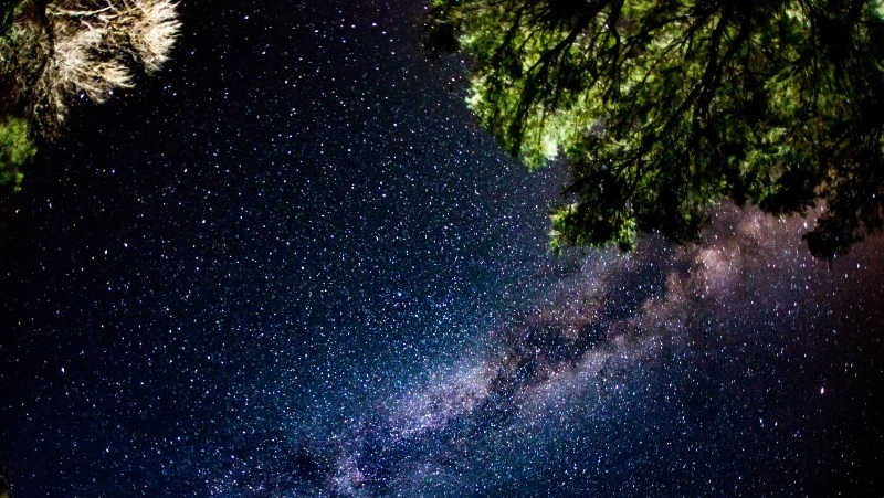 Гороскоп на 21 июня: Рыбы выйдут в реальный мир, Девы преодолевают барьеры