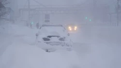 Из-за непогоды сахалинская Госавтоинспекция отменила экзамены и регистрацию