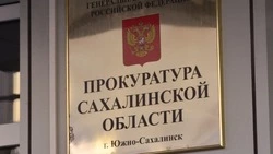 Парковки для инвалидов в Поронайске расчистили от снега после вмешательства прокуратуры