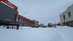 Снег и ветер с порывами до 16 м/с ожидаются в Сахалинской области 27 января