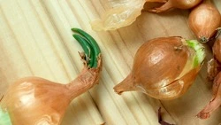 Народные приметы на 20 февраля 2025 — что нельзя делать в этот день