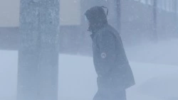 МЧС: ураганный ветер обрушится на Курилы 15 декабря 