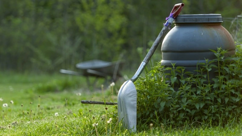 Неудачи на даче