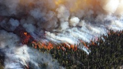 Прыжок из окна и череда пожаров: главные новости выходных на Сахалине