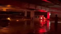 Сырость, плесень и бездействие УК: жители МКД в Южно-Сахалинске ищут помощи после паводков 2023 года