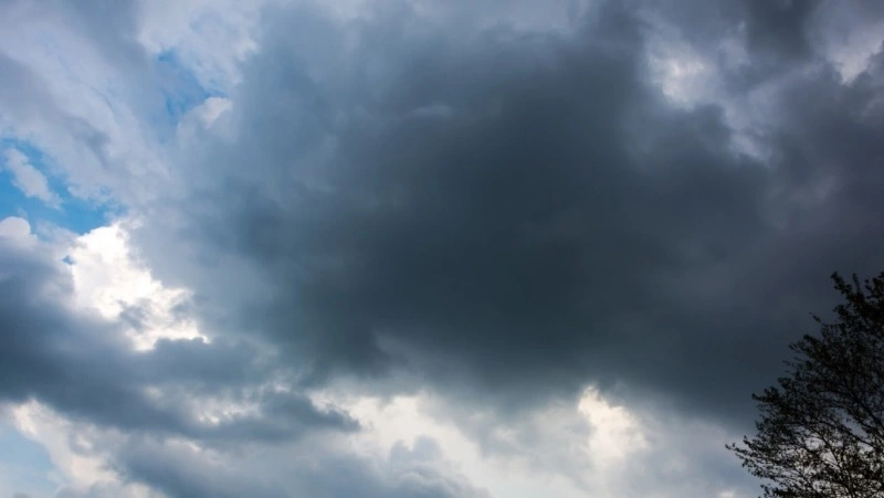 Синоптики уточнили прогноз погоды в Сахалинской области на 6 августа 