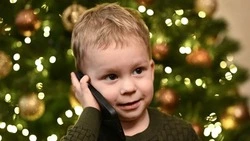 Расскажи, Снегурочка: в России вновь заработала горячая линия Деда Мороза и его помощников