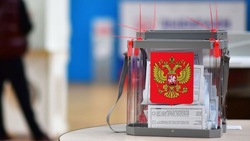 Наблюдатели Сахалина рассказали об организации работы на выборах президента-2024