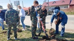 Акция «Сад памяти» собрала десятки людей в Анивском районе