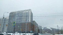 Облачную погоду спрогнозировали синоптики в Южно-Сахалинске 2 марта