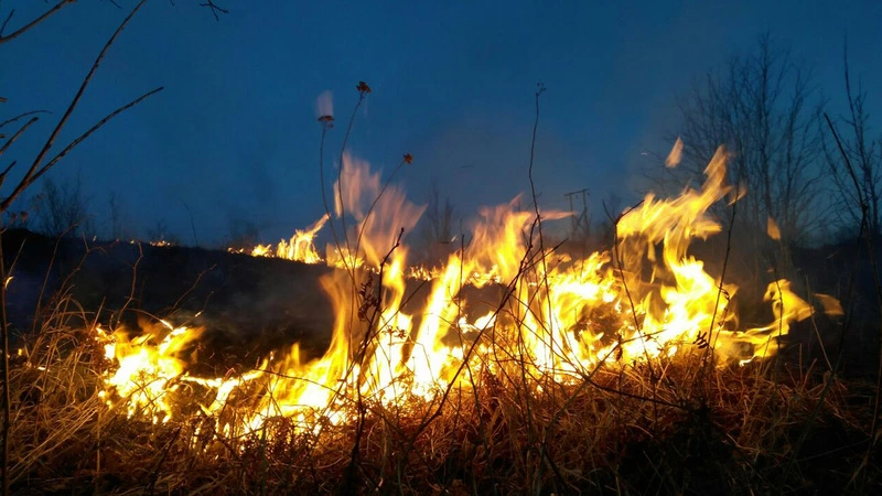 Сахалинский журналист в одиночку потушила лесной пожар