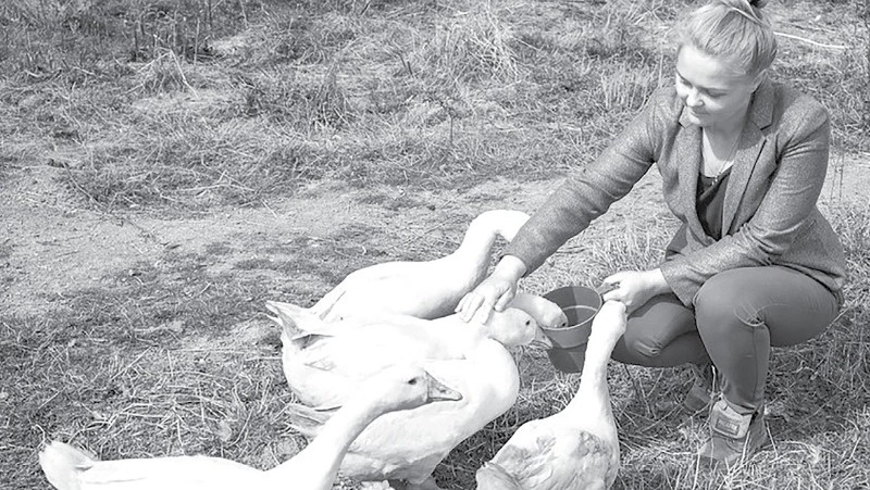 Птичий остров мечты