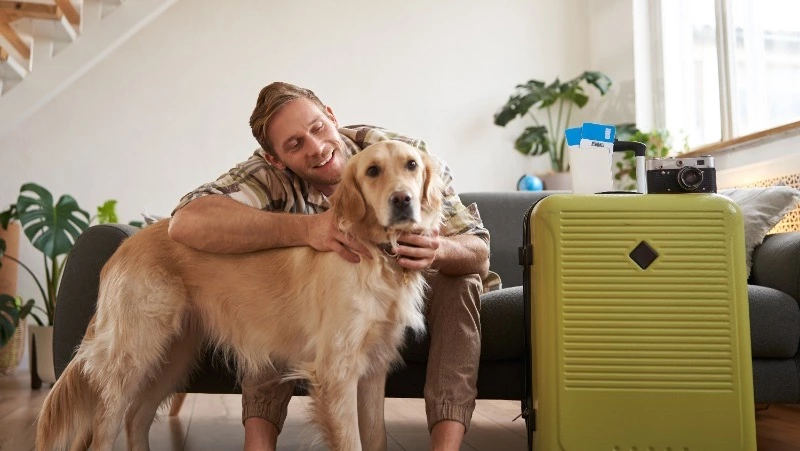  Как путешествовать с питомцами: советы сахалинцам для комфортных поездок 