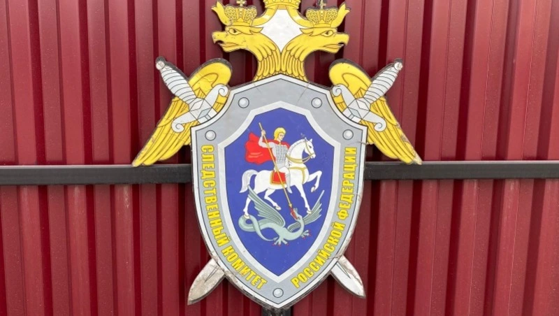 Следователи проверят информацию об избиении ребенка в детском саду Южно-Сахалинска 