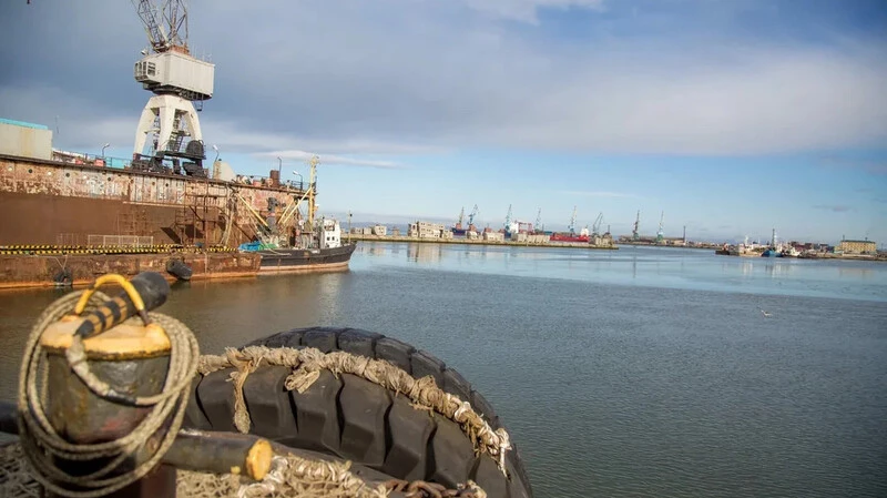 На Сахалине надеются на изменение прогноза по горбуше