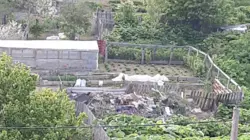 Зловонная свалка выросла за забором жилого дома в Холмске