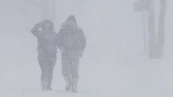 Губернатор Валерий Лимаренко поручил ликвидировать последствия циклона всеми силами 