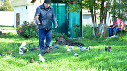 «А Славик выйдет?»: пациента Углегорского психоневрологического интерната безумно полюбили голуби