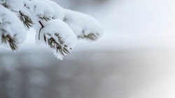 Минусовые температуры и снег прогнозируют в Сахалинской области на 3 марта