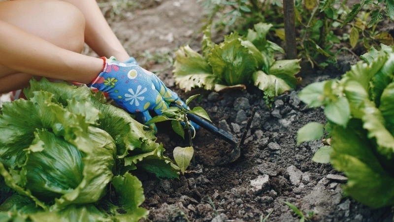 Церковный праздник 19 июня 2025: что нельзя делать в этот день, приметы
