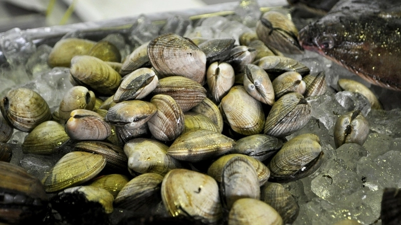 В России резко возросли штрафные санкции за незаконный вылов морепродуктов