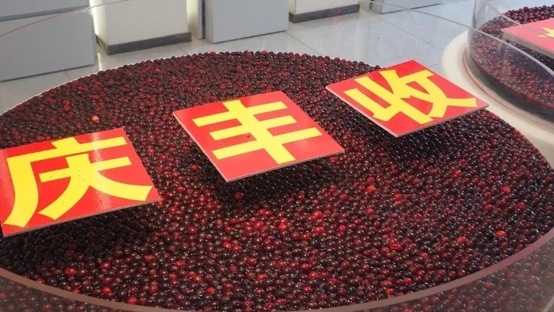 В Китае обсудили поставки натурального клюквенного сока в Корсаков