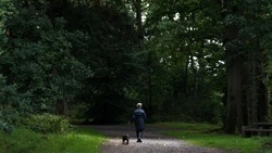 Больше 20 парков и скверов благоустроят на Сахалине и Курилах до конца 2023 года