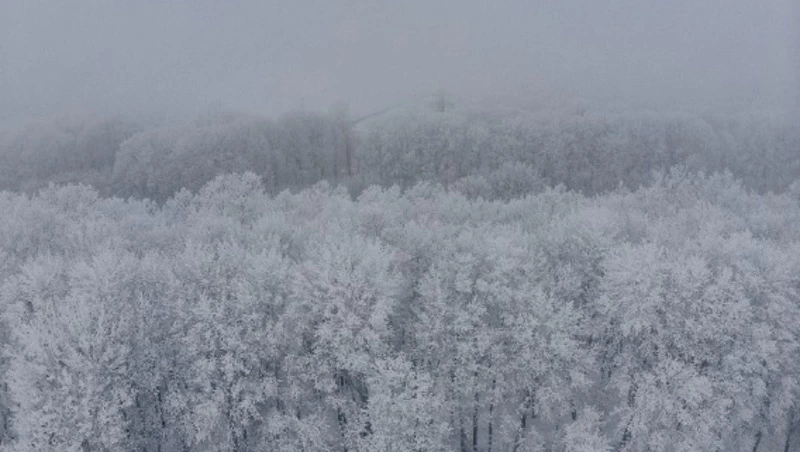 Метель на побережьях и небольшой снег на Сахалине и Курилах пройдет 18 февраля