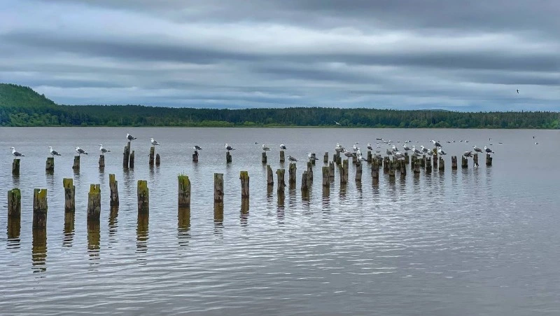 Ведущие «Геометки» показали жителям Сахалина маршрут к красивому озеру