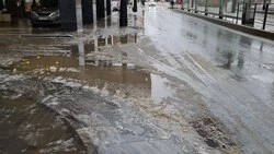 «Комфорт и безопасность»: Вишневский рассказал, почему приподнятые переходы — это важно