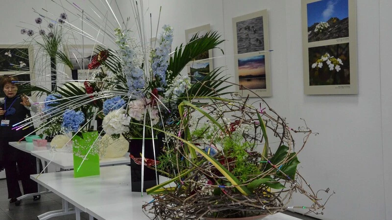 Фестиваль культуры России и Японии на Сахалине: икебана и фотовыставка