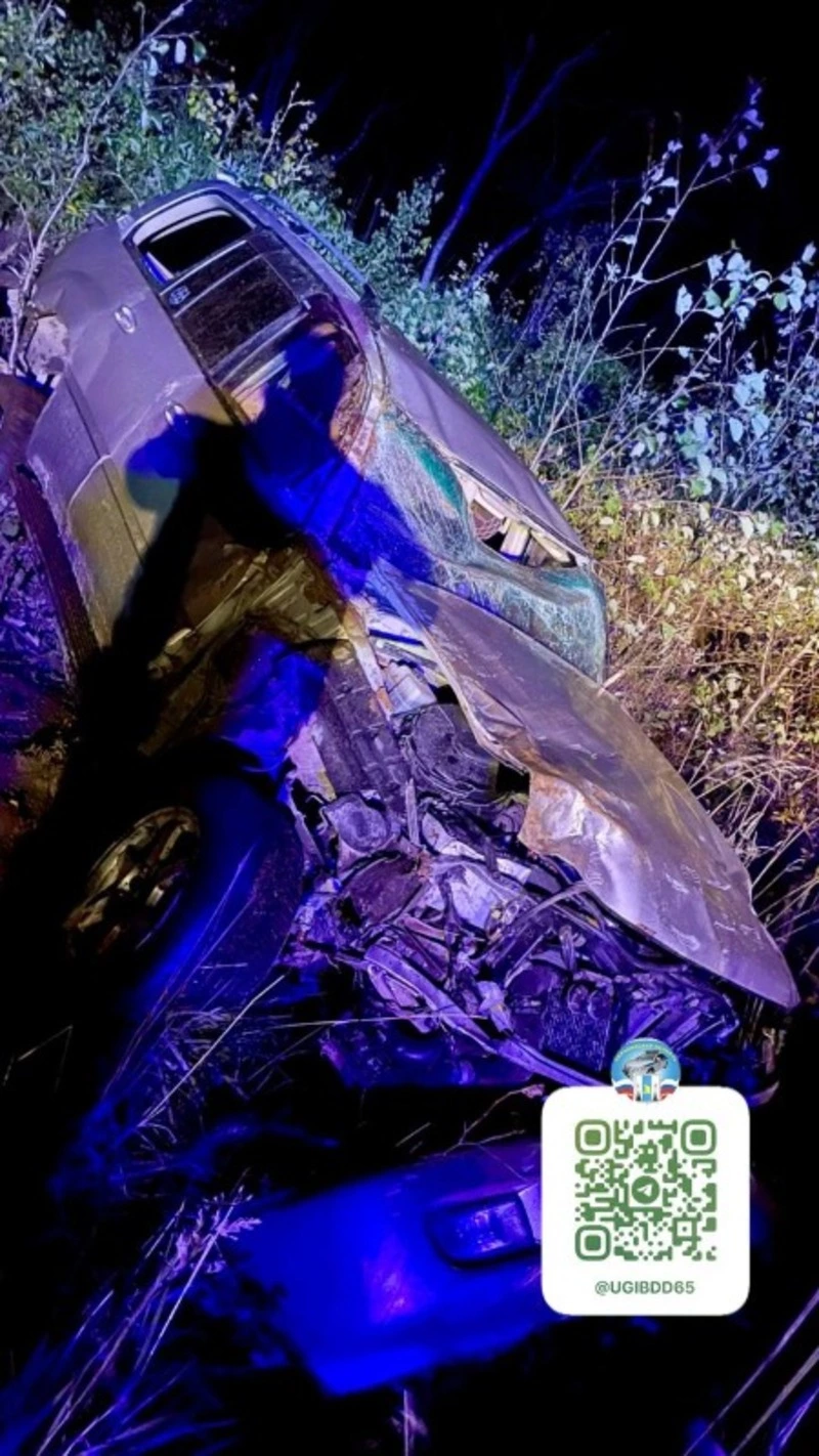 Женщина на Toyota Land Cruiser пыталась объехать животное и вылетала в кювет в Курильском районе 