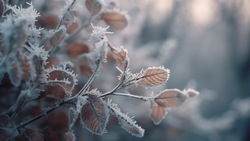 Погода в Южно-Сахалинске 25 ноября: слабый снег и пасмурная погода