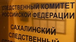 Полгода боли: следователи подтвердили длительный срок истязаний девочки из Южно-Сахалинска