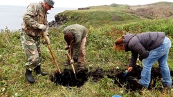 Пандемия сорвала полевой сезон сахалинских и японских археологов