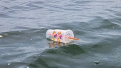 Подавляющее большинство жителей Южно-Сахалинска готово отказаться от пластиковой посуды — опрос