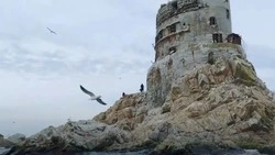 Маяк Анива показали в международном контент-проекте Xiaomi