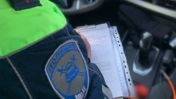 Два десятка водителей поймали пьяными на Сахалине за праздничные выходные