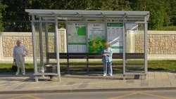 Жители Южно-Сахалинска высмеяли правку ГОСТ по мусорным урнам на остановках