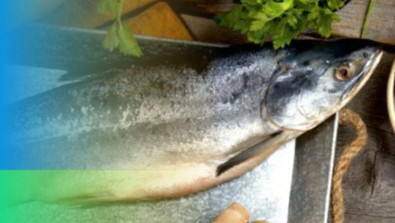 Горбушу по низкой цене предложили жителям Анивы