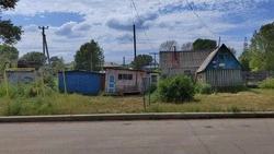 Малыши гуляют в руинах детской площадки в Тымовском