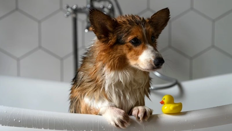 Отопление и горячую воду отключат на нескольких улицах Южно-Сахалинска 29 апреля