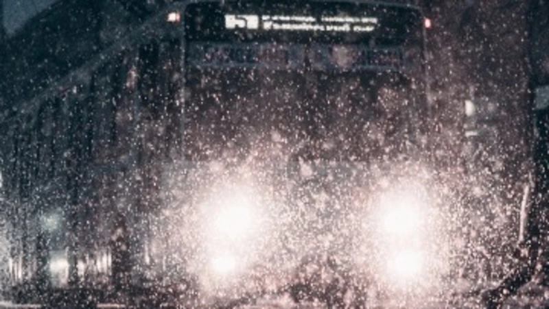 Междугородние автобусы отменили на Сахалине. Список маршрутов